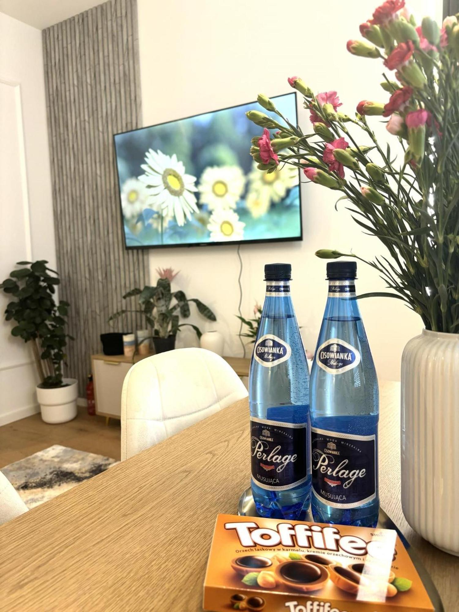 Apartament Pod Wieza 1 Walbrzych Luaran gambar